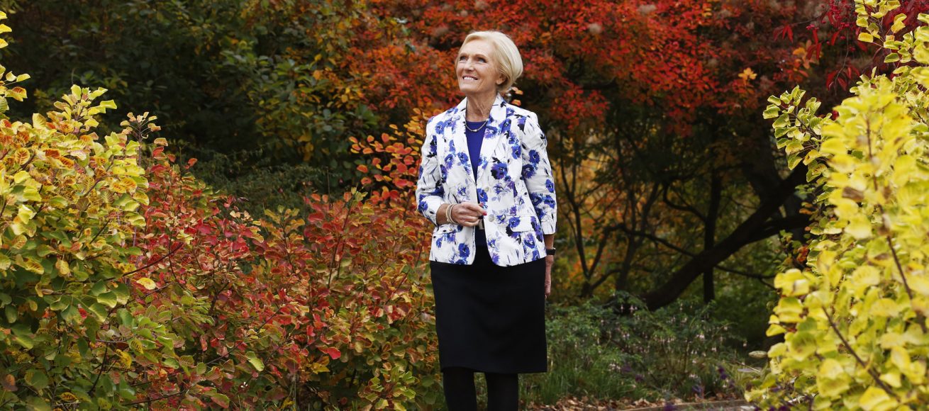 mary berry fast cakes book signing, rhgs wisley, woking, whats on, food events,