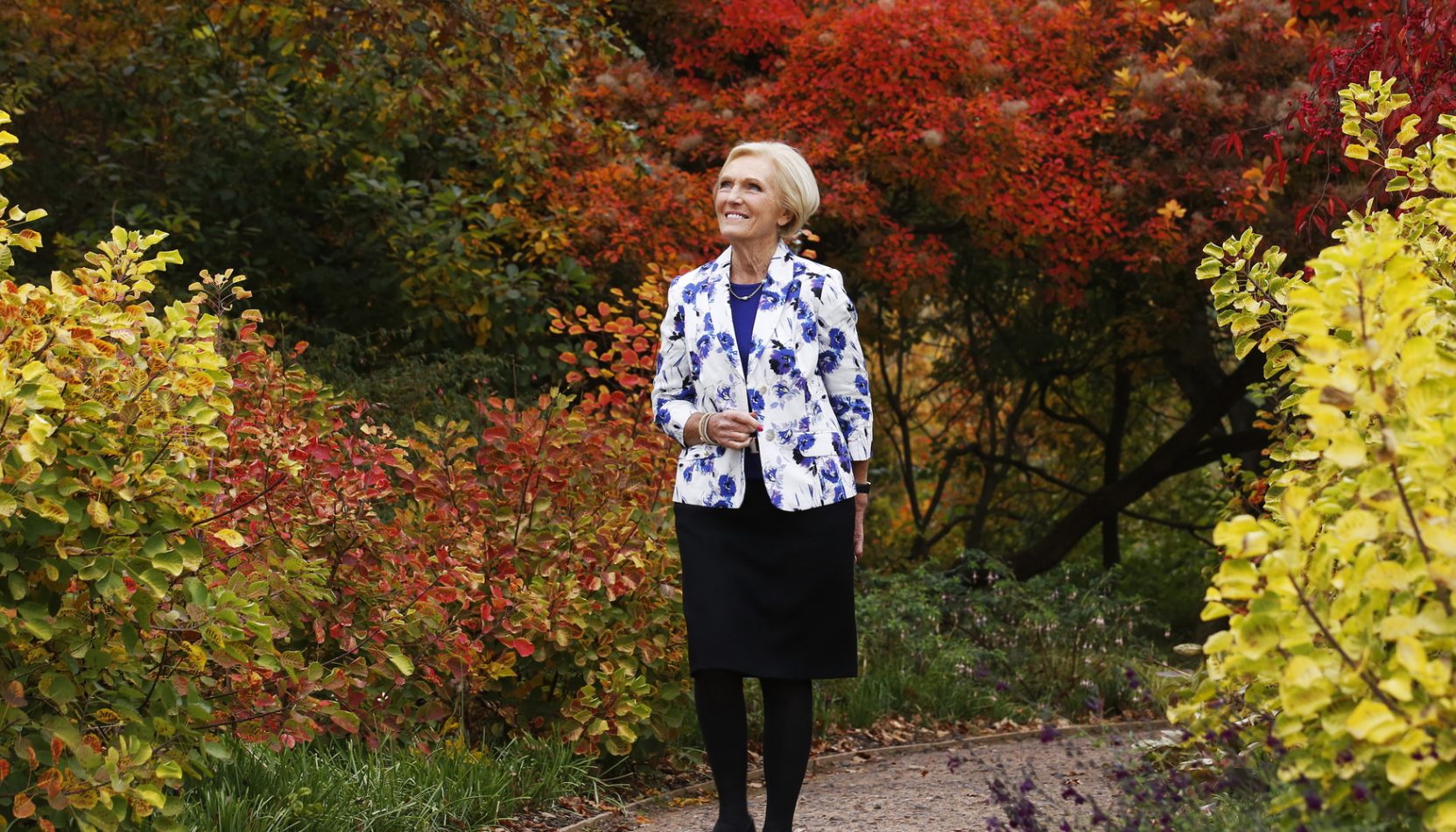 mary berry fast cakes book signing, rhgs wisley, woking, whats on, food events,