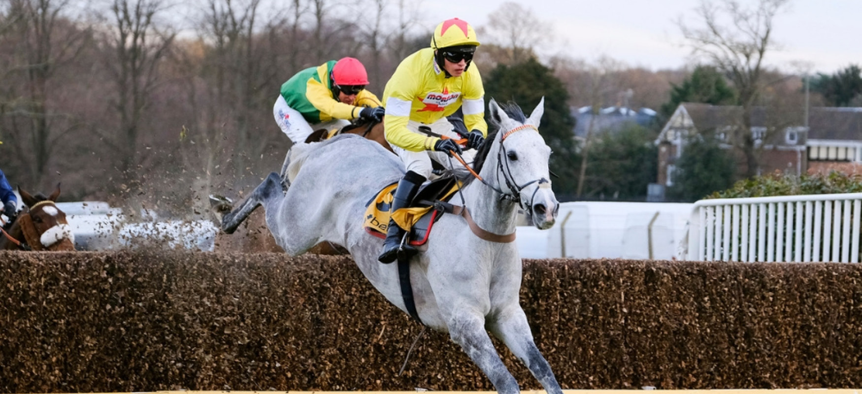 horse racing, contenders day, sandown park, esher, whats on, where to go, events, racing, surrey