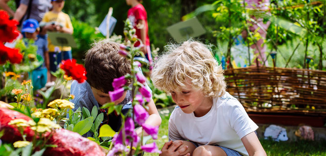 family gardening festival, res garden wisely, surrey, whats on, half term, May Half Term