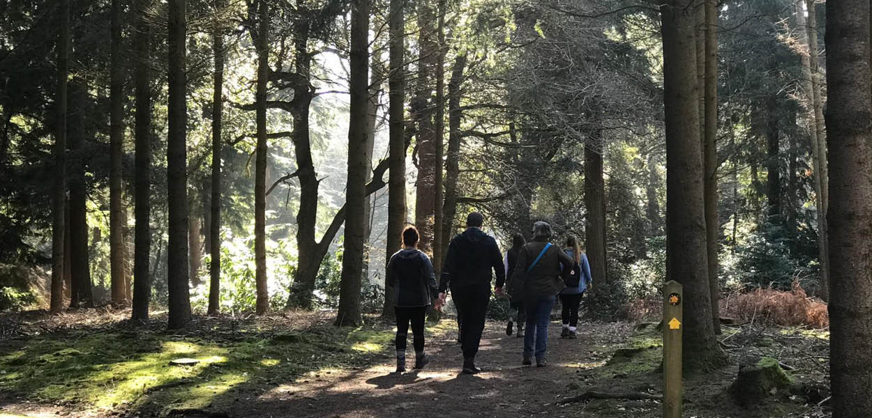 silent pool distillers, walking tour, countryside, whats on, events, guide to silent pool, summer 2019, whats on, guide to surrey