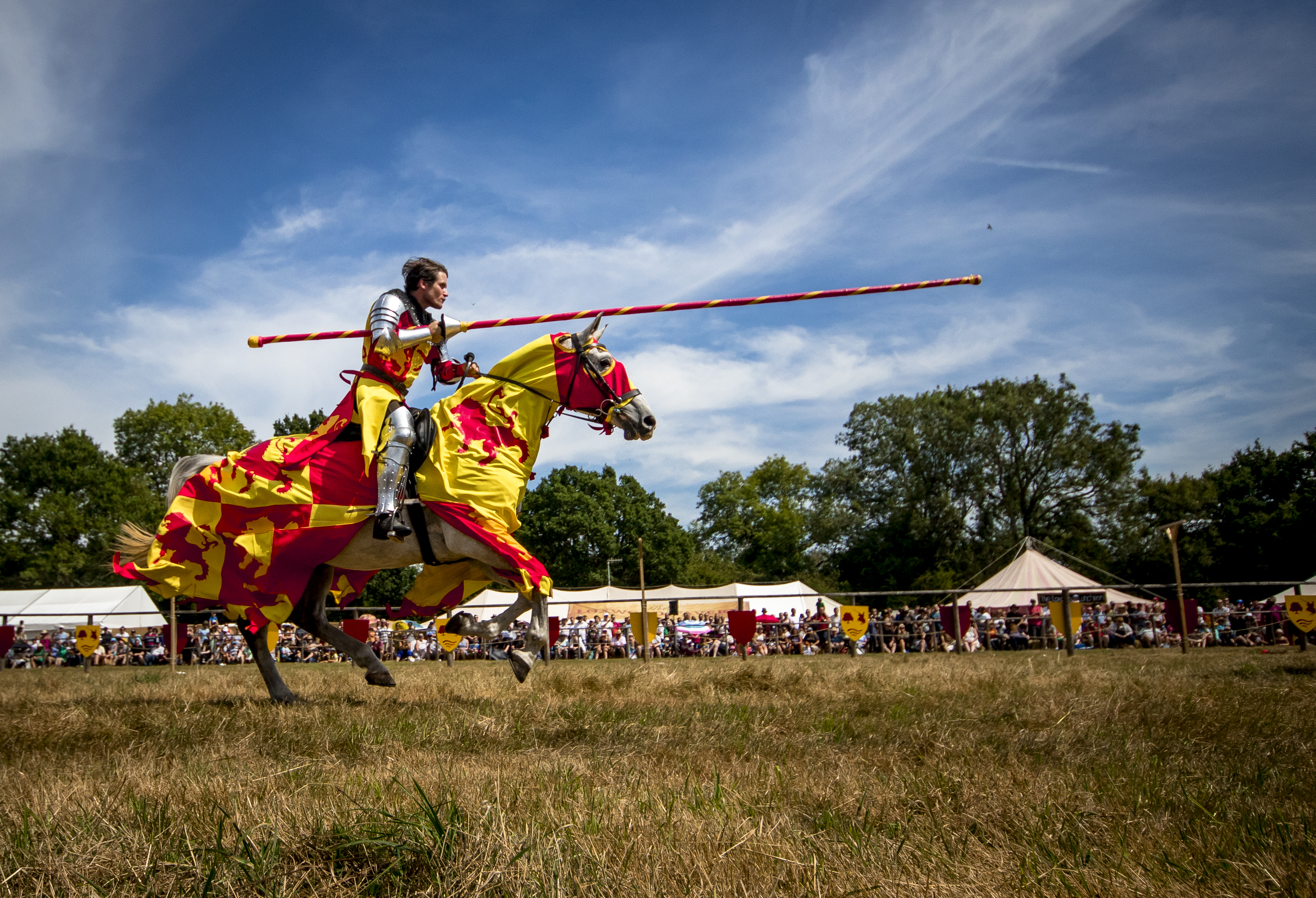 the loxwood joust, august 2019, whats on, family days out, medieval mayhem, days out, the best days out, medieval festival, surrey, sussex