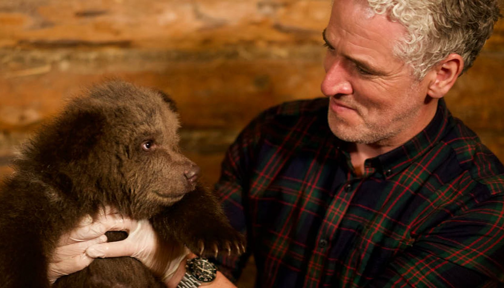 gordon buchanan, wildlife, nature, talk, g live, guildford, surrey, whats on, guide to whats on, guide to going out, going out, nights out, things to do, conservation