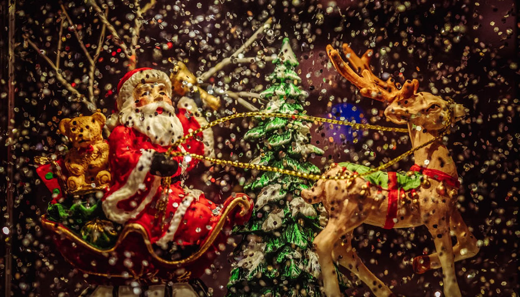santa stop here, guide to surrey, guide to whats on, what's on, guide to whats on this christmas, where to find santa, christmas shows, desperately seeking santa, christmas events, things to do with the kids this christmas, family, family christmas events