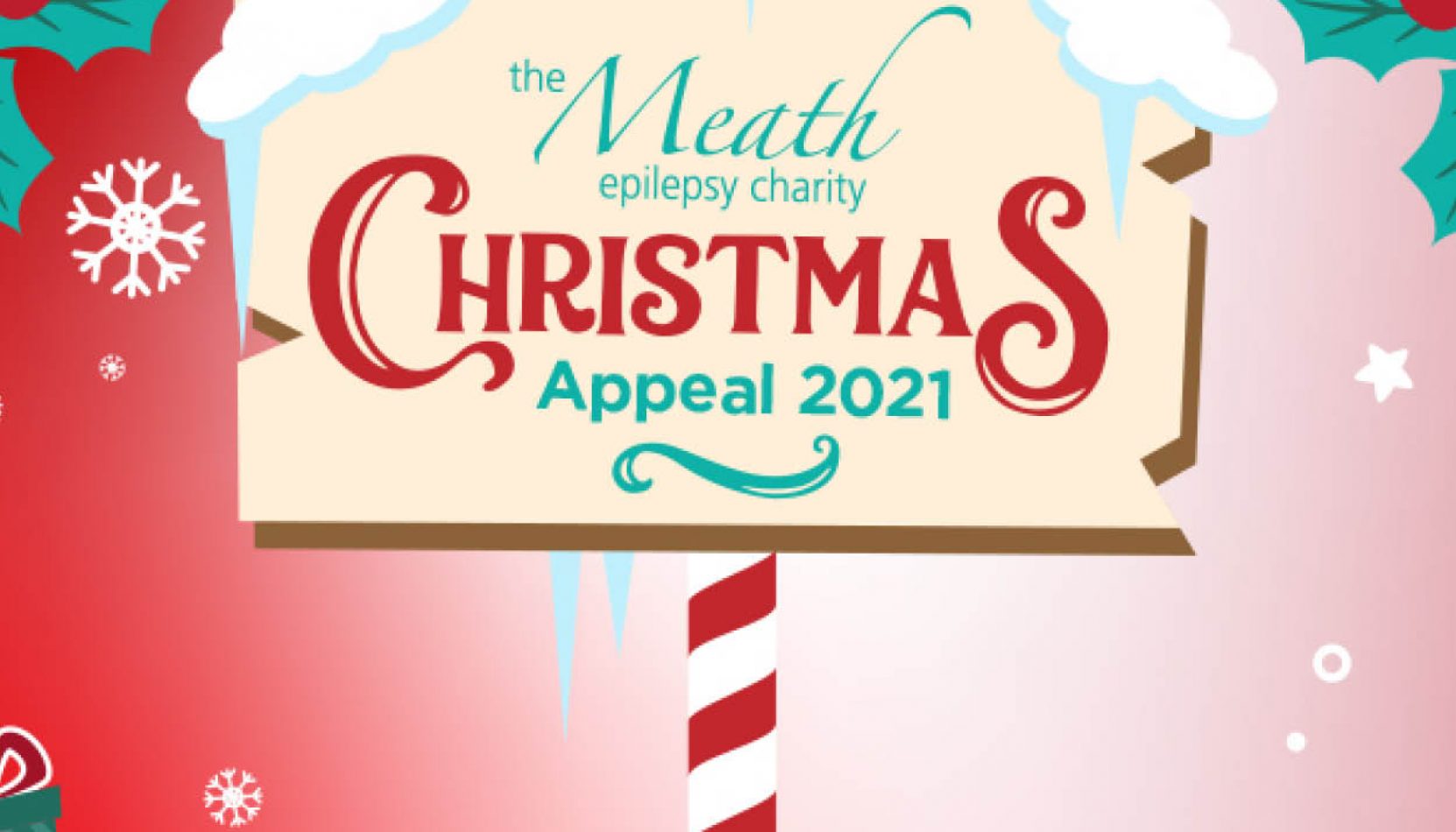 meath epilepsy charity christmas appeal 2021,