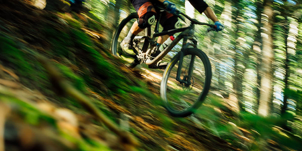 intoroduction to mob, surrey hills, sports locker, guide to, guide to whats on, mountain bikes, trails, surrey hills trails, workshops, rides