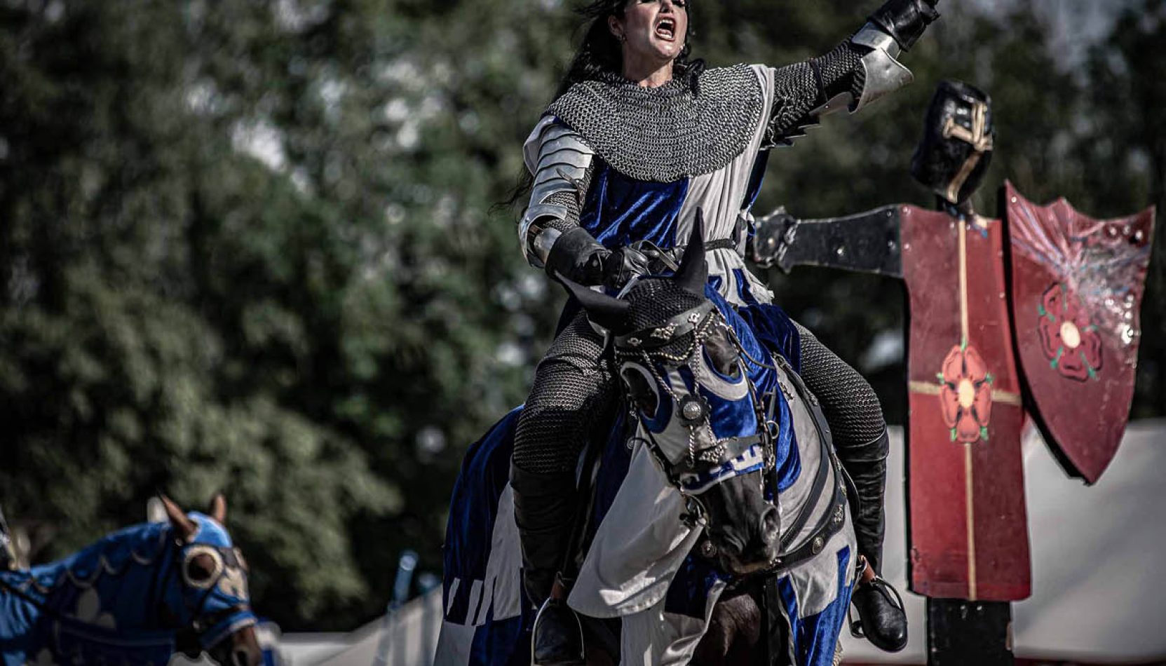 boxwood joust, medieval mayhem, family fun, august 2022, summer holidays, whats on, things to do with the family, family days out, the best family days out in surrey. events in surrey, family events in surrey, whats on, guide to whats on, guide to surrey, guide to family events in surrey