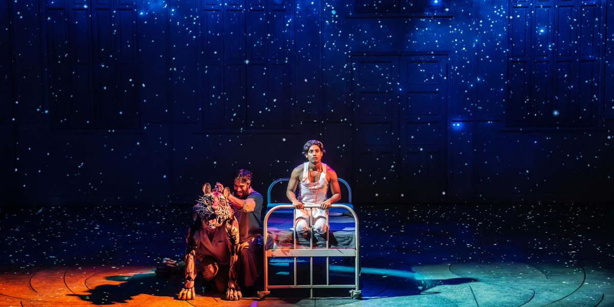 life of pi, woking, new Victoria theatre, woking, guide to woking, whats on in woking, theatre, entertainment, guide to surrey
