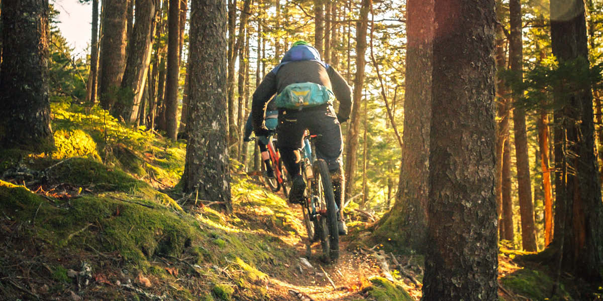 MTB, single track, surrey hills, bikes, mountain bikes, trail riding, surrey, guide to surrey, guide to sports in surrey