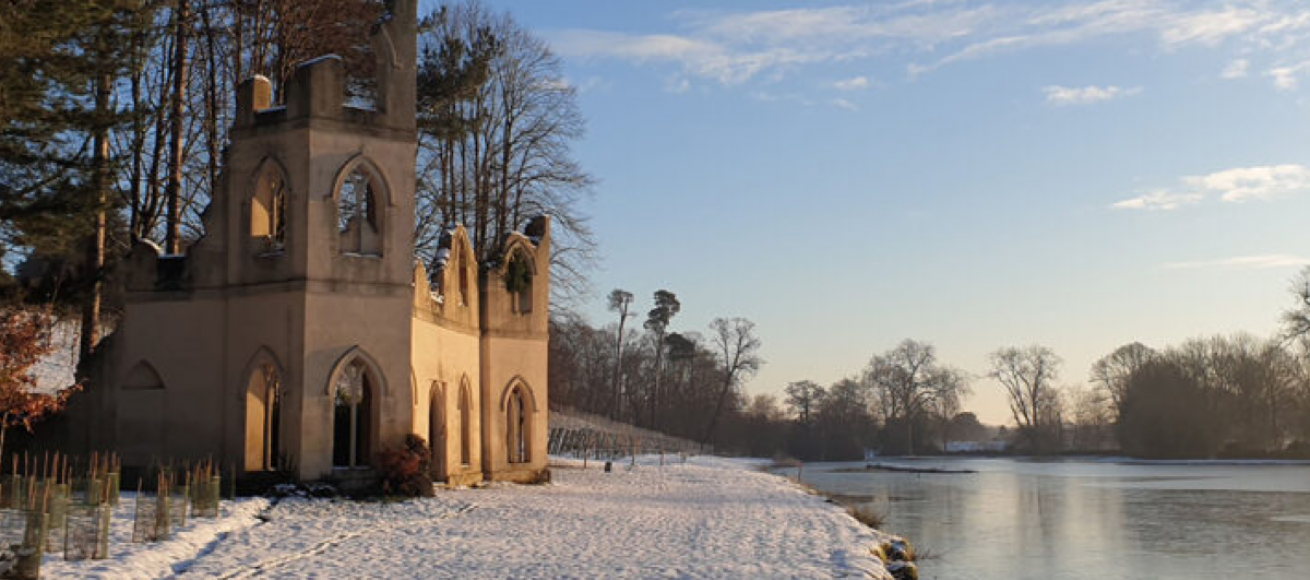 painshill, painshill park, cobham, january 2024, membership, tea room, trails, events, wellbeing events, wedding venue, surrey, guide to surrey, guide to whats on, whats on in surrey, whats on in cobham, places to go this january, the best days out in surrey,