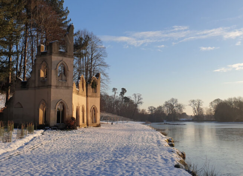 painshill, painshill park, cobham, january 2024, membership, tea room, trails, events, wellbeing events, wedding venue, surrey, guide to surrey, guide to whats on, whats on in surrey, whats on in cobham, places to go this january, the best days out in surrey,