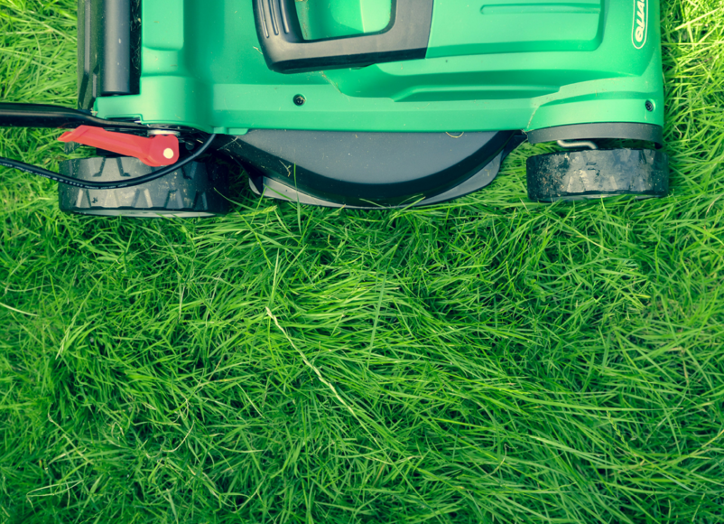 grass, gardening, lawn, healthy lawn, healthy grass, lawnmower, diy, home hacks, home improvement, property, property maintenance, move house, moving house, move to surrey, move to london