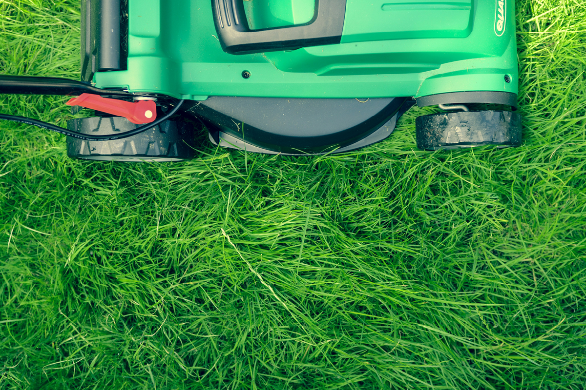 grass, gardening, lawn, healthy lawn, healthy grass, lawnmower, diy, home hacks, home improvement, property, property maintenance, move house, moving house, move to surrey, move to london