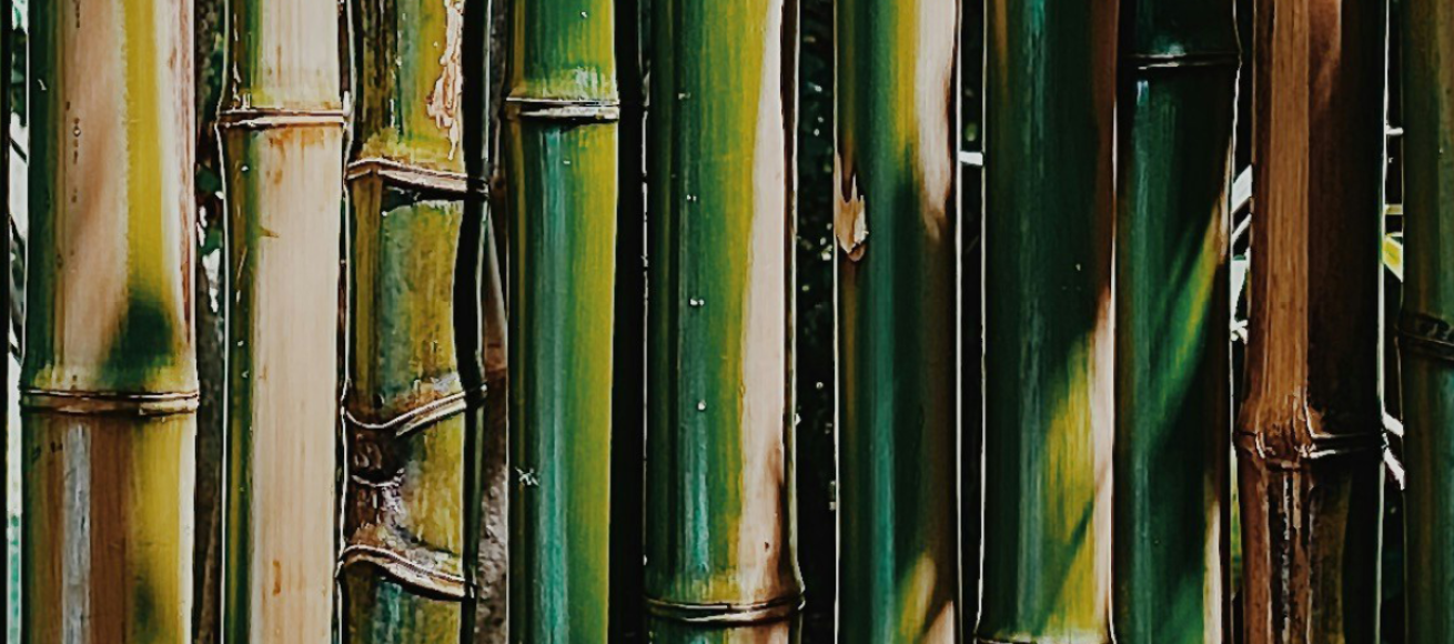 bamboo, bamboo home, interior design, home and garden, house and garden, home hacks, DIY, homeowner, home maintenance, move to, move to surrey, move to London, move to the country, moving house, moving to surrey, moving to London, guide to surrey,