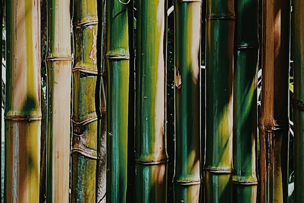 bamboo, bamboo home, interior design, home and garden, house and garden, home hacks, DIY, homeowner, home maintenance, move to, move to surrey, move to London, move to the country, moving house, moving to surrey, moving to London, guide to surrey,